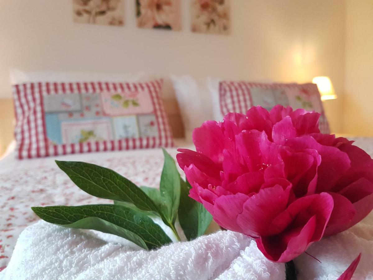 Apartment Eden بليد المظهر الخارجي الصورة
